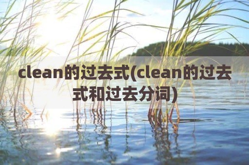 clean的过去式(clean的过去式和过去分词)