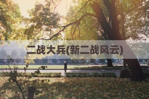 二战大兵(新二战风云)