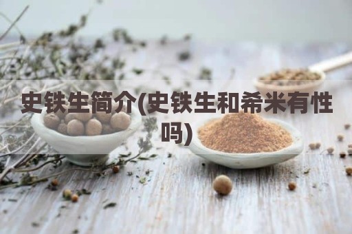 史铁生简介(史铁生和希米有性吗)