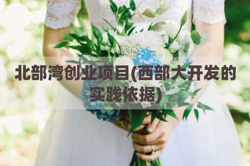 北部湾创业项目(西部大开发的实践依据)