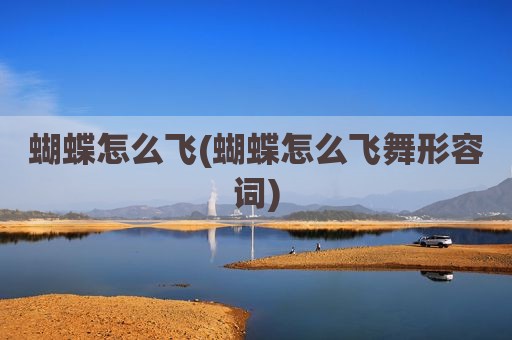 蝴蝶怎么飞(蝴蝶怎么飞舞形容词)