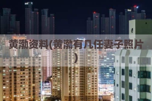 黄渤资料(黄渤有几任妻子照片)