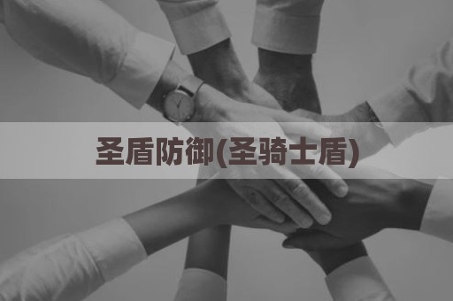 圣盾防御(圣骑士盾)