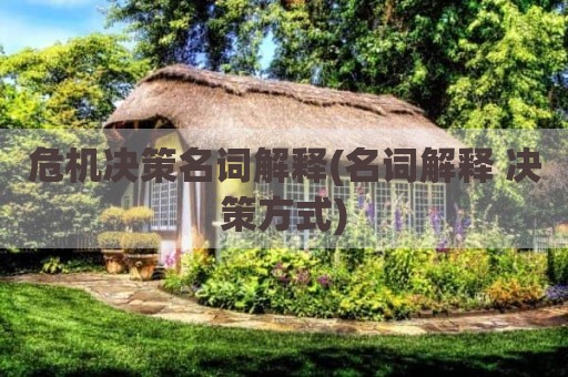 危机决策名词解释(名词解释 决策方式)