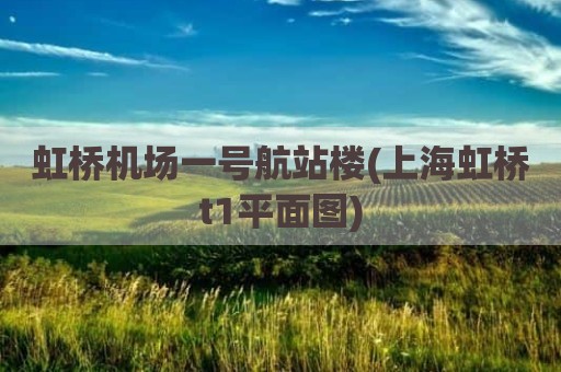 虹桥机场一号航站楼(上海虹桥t1平面图)
