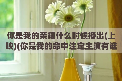 你是我的荣耀什么时候播出(上映)(你是我的命中注定主演有谁)