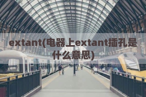 extant(电器上extant插孔是什么意思)