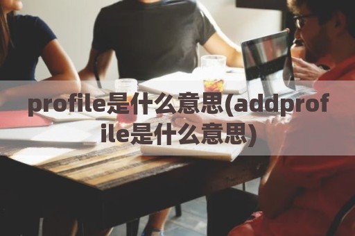 profile是什么意思(addprofile是什么意思)