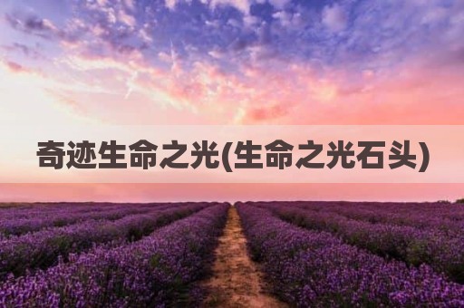 奇迹生命之光(生命之光石头)