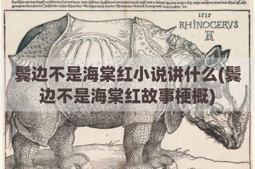 鬓边不是海棠红小说讲什么(鬓边不是海棠红故事梗概)