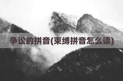 争讼的拼音(束缚拼音怎么读)
