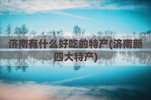 济南有什么好吃的特产(济南新四大特产)