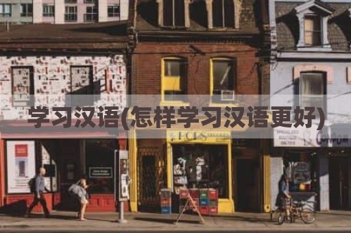 学习汉语(怎样学习汉语更好)