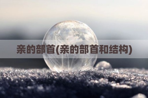 亲的部首(亲的部首和结构)