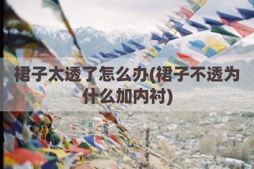 裙子太透了怎么办(裙子不透为什么加内衬)