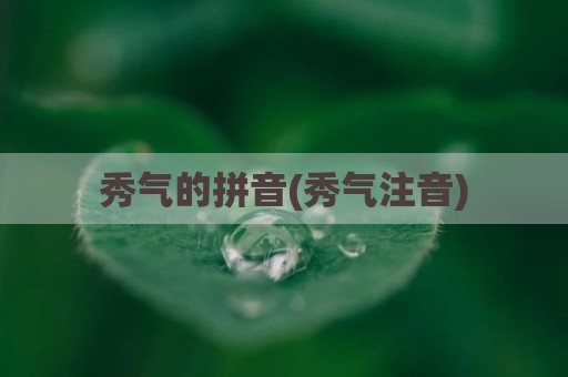 秀气的拼音(秀气注音)