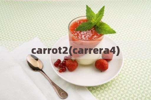 carrot2(carrera4)