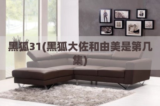 黑狐31(黑狐大佐和由美是第几集)