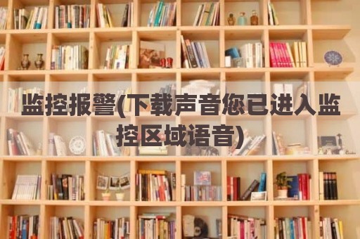 监控报警(下载声音您已进入监控区域语音)