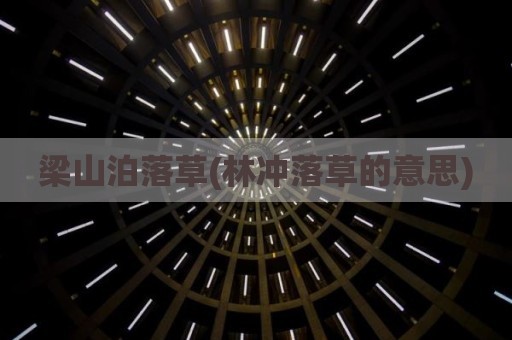 梁山泊落草(林冲落草的意思)