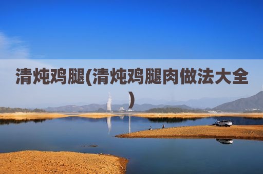 清炖鸡腿(清炖鸡腿肉做法大全)