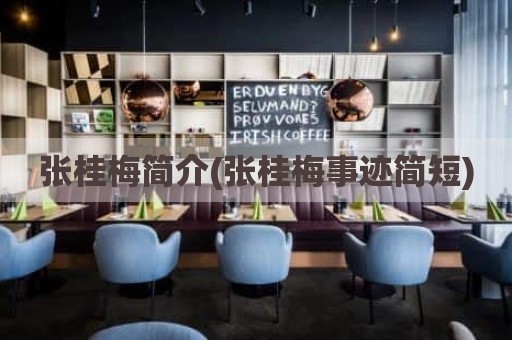 张桂梅简介(张桂梅事迹简短)