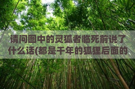 请问图中的灵狐者临死前说了什么话(都是千年的狐狸后面的话是什么)