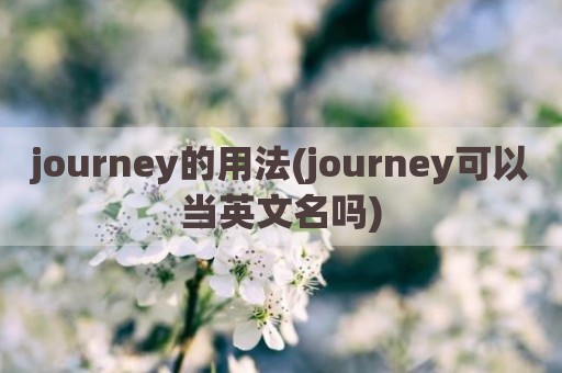 journey的用法(journey可以当英文名吗)