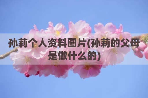 孙莉个人资料图片(孙莉的父母是做什么的)