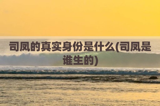司凤的真实身份是什么(司凤是谁生的)
