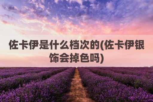 佐卡伊是什么档次的(佐卡伊银饰会掉色吗)