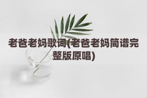老爸老妈歌词(老爸老妈简谱完整版原唱)