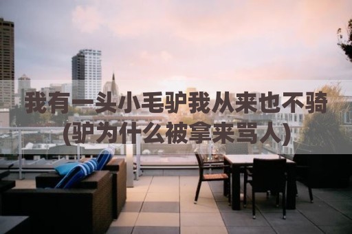 我有一头小毛驴我从来也不骑(驴为什么被拿来骂人)