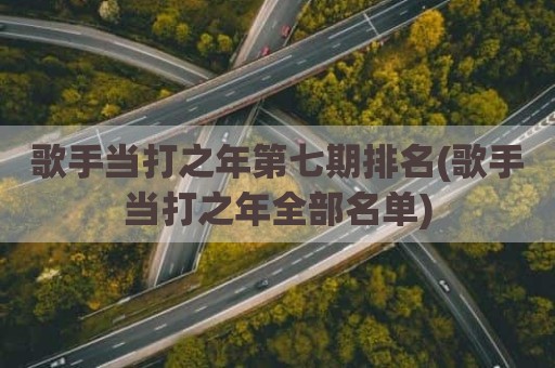歌手当打之年第七期排名(歌手当打之年全部名单)