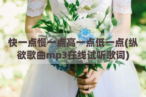 快一点慢一点高一点低一点(纵欲歌曲mp3在线试听歌词)