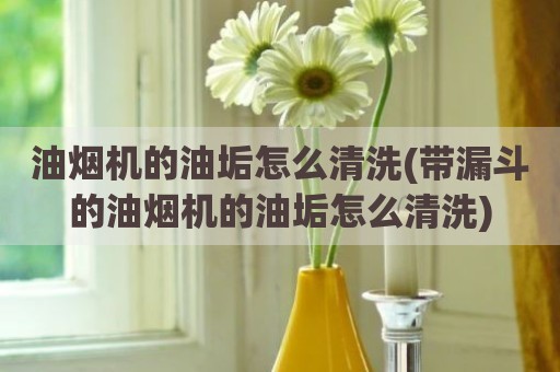 油烟机的油垢怎么清洗(带漏斗的油烟机的油垢怎么清洗)