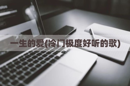 一生的爱(冷门极度好听的歌)