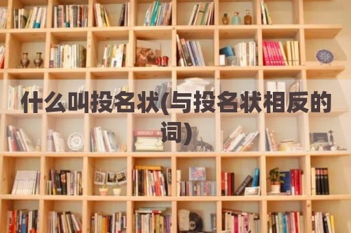 什么叫投名状(与投名状相反的词)