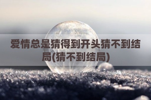 爱情总是猜得到开头猜不到结局(猜不到结局)