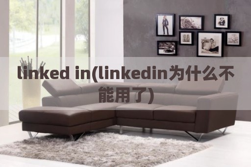 linked in(linkedin为什么不能用了)