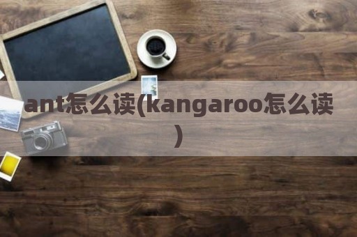 ant怎么读(kangaroo怎么读)