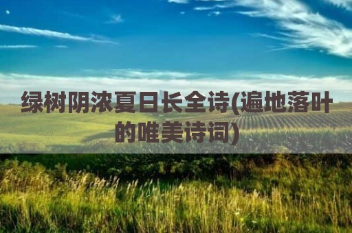 绿树阴浓夏日长全诗(遍地落叶的唯美诗词)