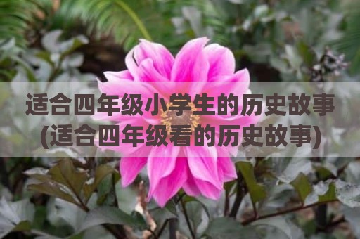 适合四年级小学生的历史故事(适合四年级看的历史故事)