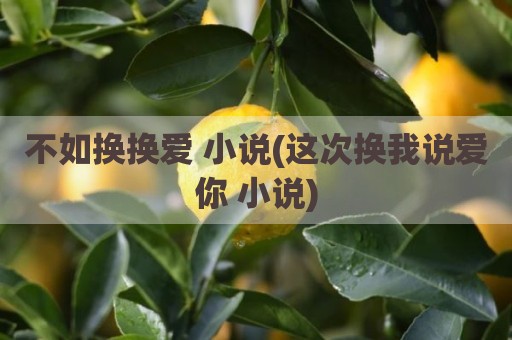 不如换换爱 小说(这次换我说爱你 小说)