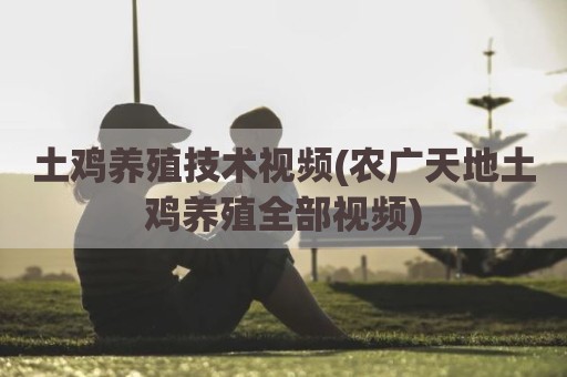 土鸡养殖技术视频(农广天地土鸡养殖全部视频)