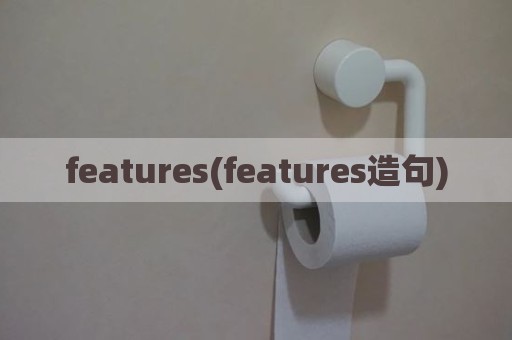 features(features造句)