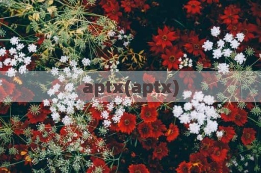 aptx(aptx)