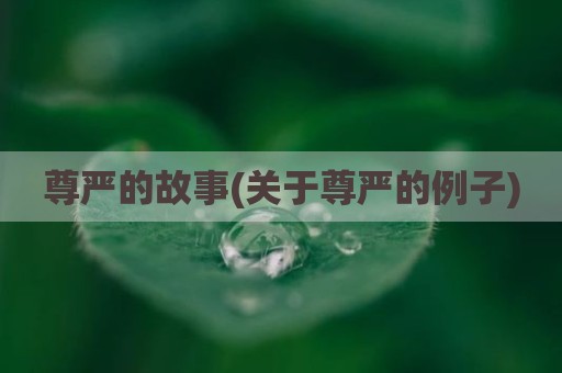 尊严的故事(关于尊严的例子)