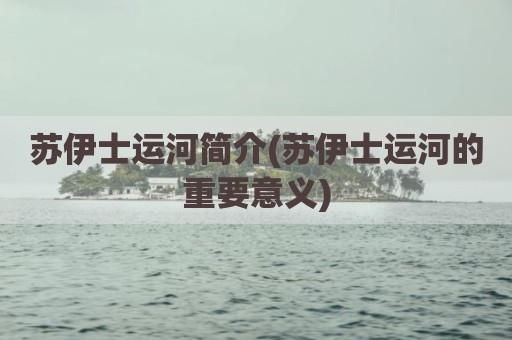苏伊士运河简介(苏伊士运河的重要意义)