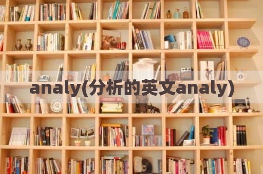 analy(分析的英文analy)